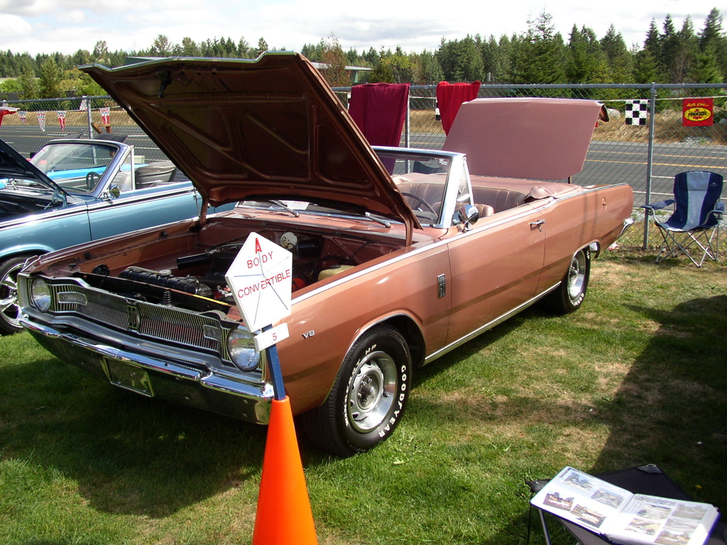 P1010125.JPG